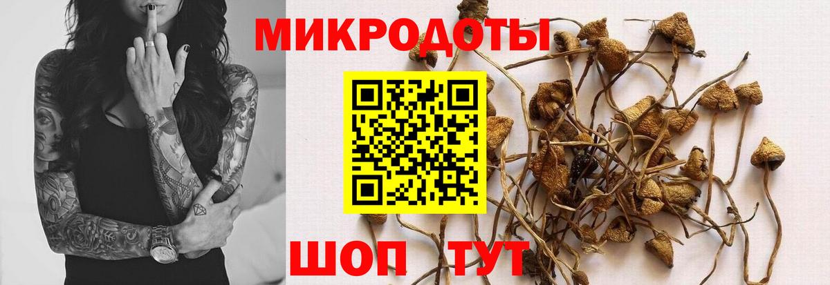 Полевской  Галлюциногенные грибы Magic Shrooms  Вход с VPN 